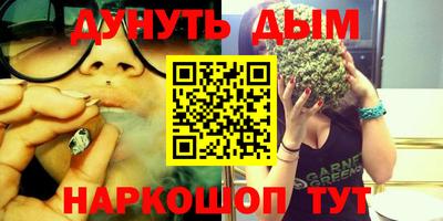 spice Новодвинск