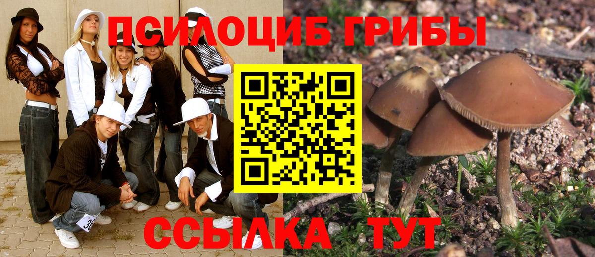 Сланцы  Галлюциногенные грибы Psilocybe  Псилоцибиновые грибы MAGIC MUSHROOMS  Вход с VPN 