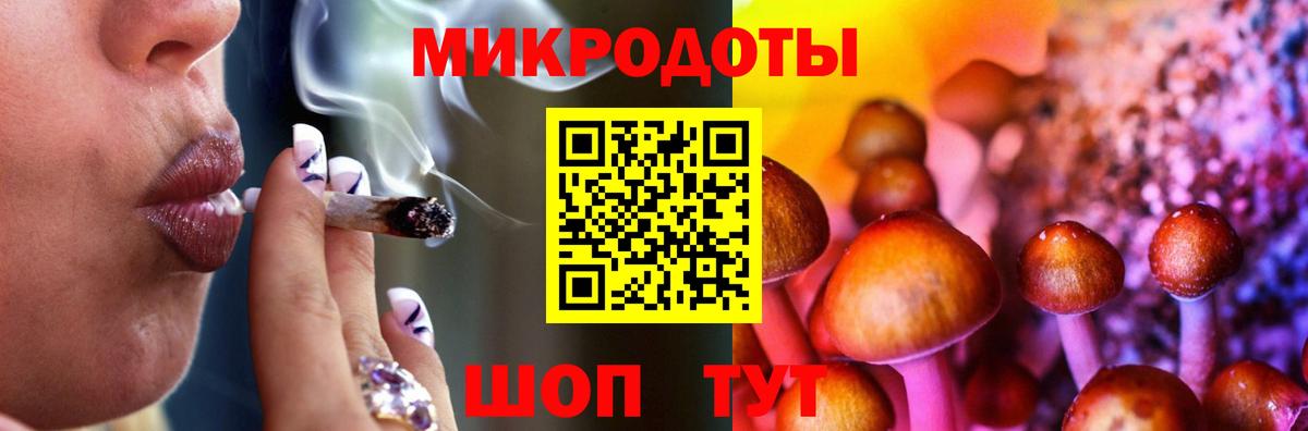 Галлюциногенные грибы Cubensis Сланцы